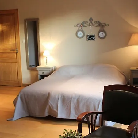 Le Vallon Des Ronzieres Bed and Breakfast Gleizé